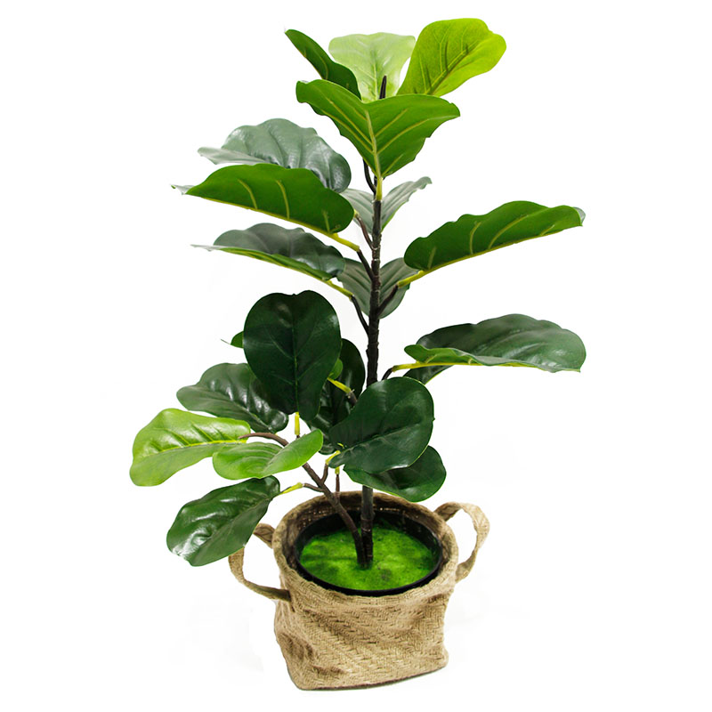 رقم العضوية