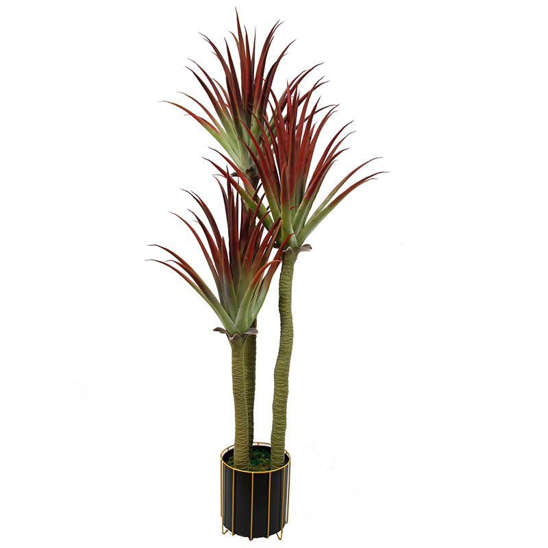 رقم العضوية