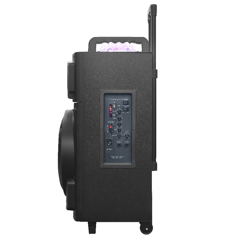 عربة مكبر الصوت y-k8-12m2h
