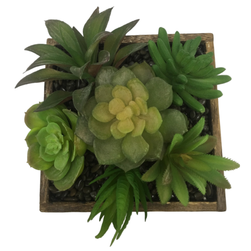 رقم العضوية