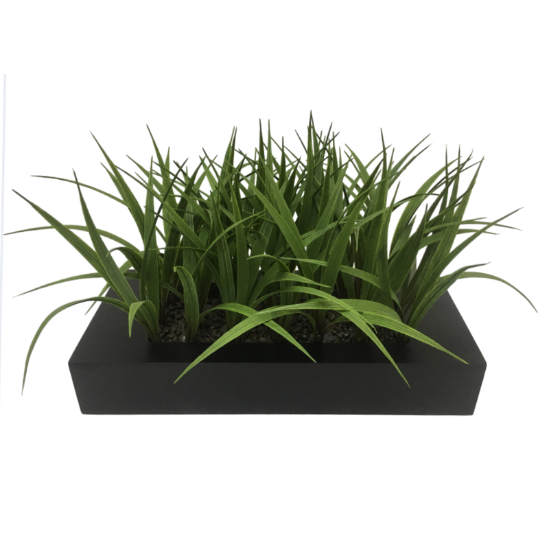 رقم العضوية