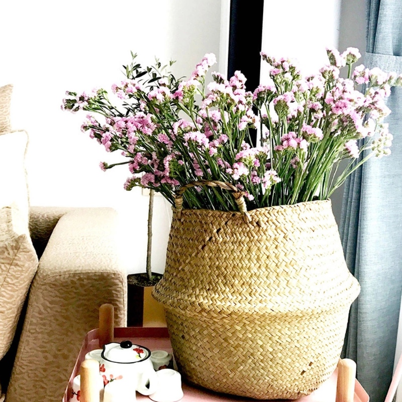 المنسوجة البطن الأعشاب البحرية سلة لتخزين وعاء زهرة بانت بانت