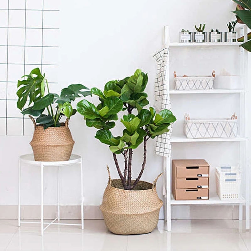 ديكور المنزل زهرة وعاء حامل البيضاوي شنقا سلة تخزين الأعشاب البحرية