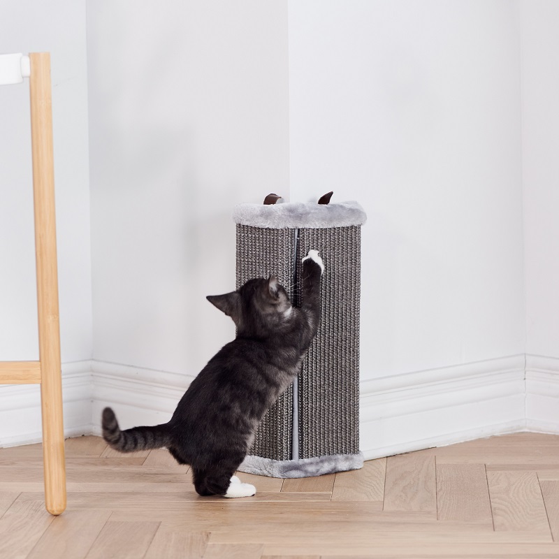 آلات الخدش للقطط 1