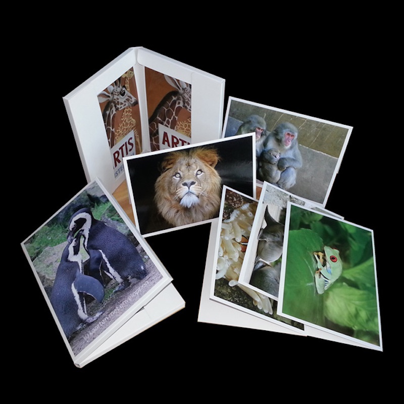 بطاقات المعايدة ، بطاقات ، المغلفات في جميع المناسباتالتذكارات السياحية