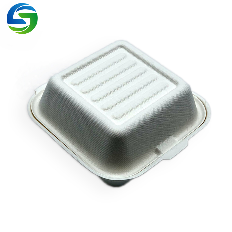 صناديق غداء صديقة للبيئة