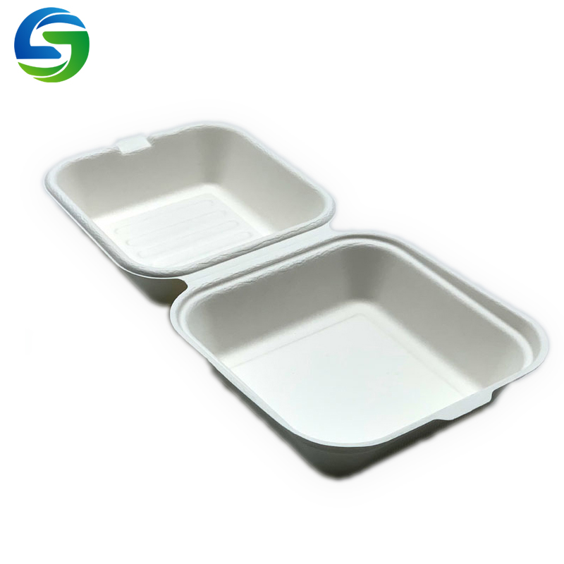 صناديق غداء صديقة للبيئة