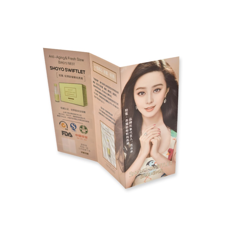 نشرة إعلانية ثلاثية الطيات (عالمية)