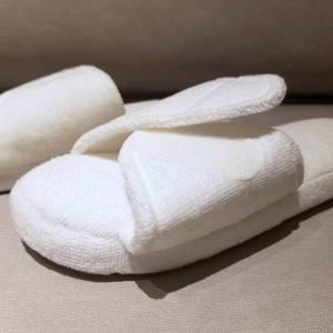 تيري طباعة الشرائح