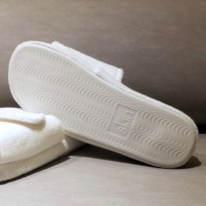 تيري طباعة الشرائح