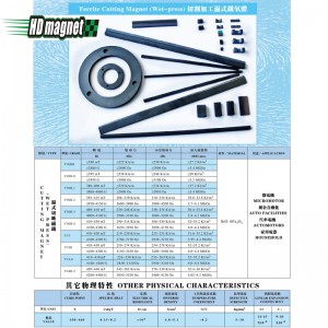 مغناطيس قطع الفريت (الضغط الرطب)