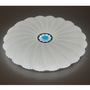 مصباح السقف CX202