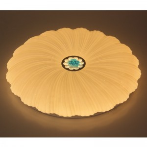 مصباح السقف CX202