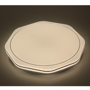 ضوء السقف CX207