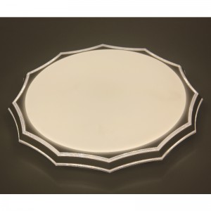 مصباح السقف CX233