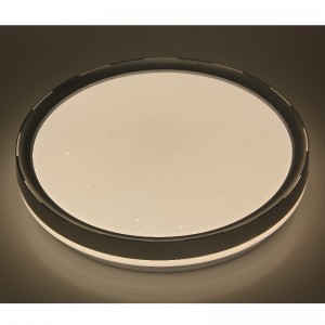 مصباح السقف CX236