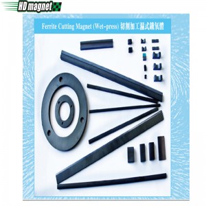 مغناطيس قطع الفريت (الضغط الرطب)