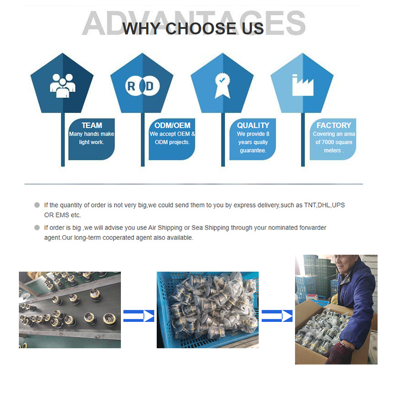 مهرجان الربيع