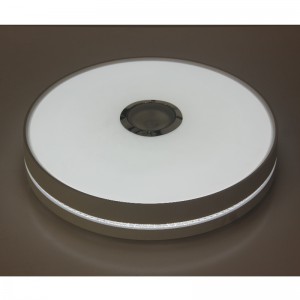 MU111 السقف مصباح