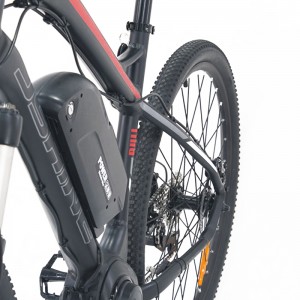 S6-Z2 EBIKE