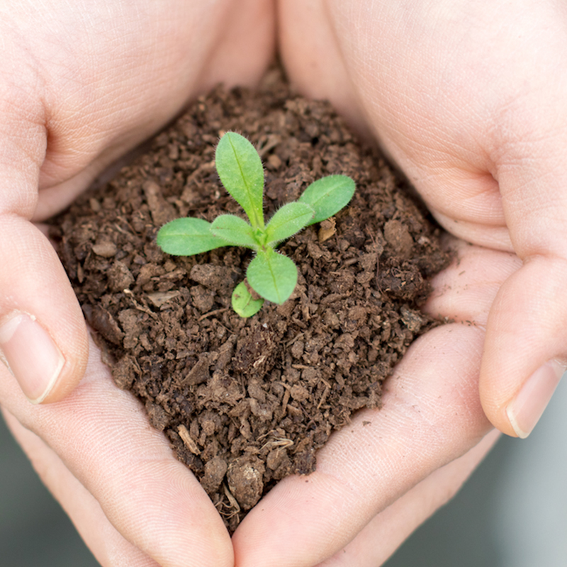 المنتج الممتاز 2.