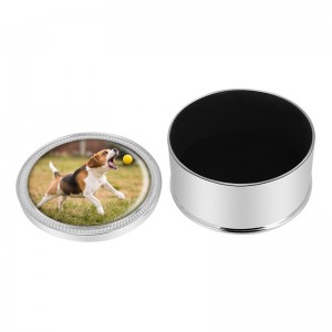 جرة معدنية لرماد الكلاب