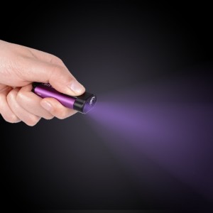 الأشعة فوق البنفسجية تطهير سلسلة المفاتيح مضيا