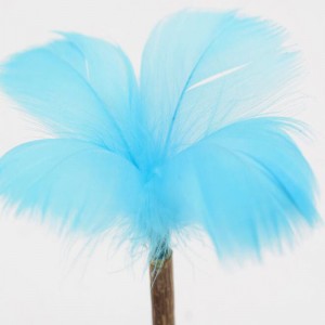 القط مصاصة بهلوان النعناع