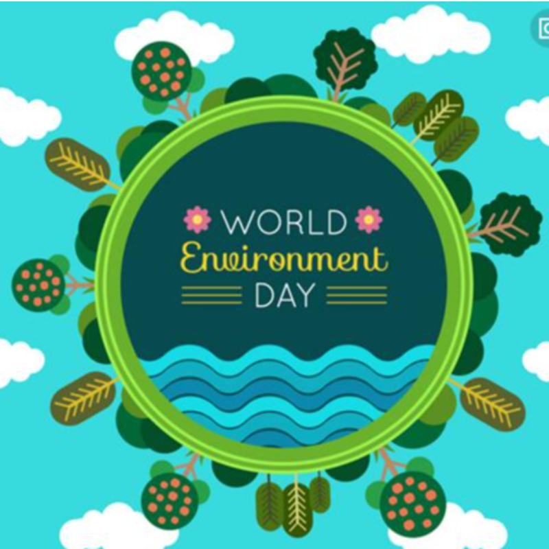 حماية البيئة