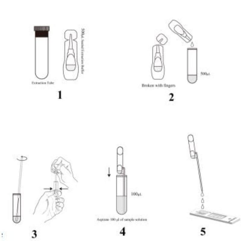 سارس-COV-2 Antigen Rapid Test Kit (مضان القرار الزمني)