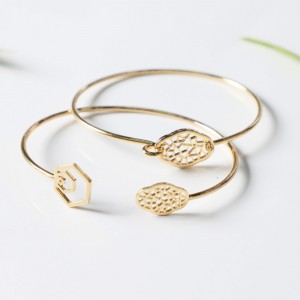 بيجونيا سوار زهرة مفتوحة