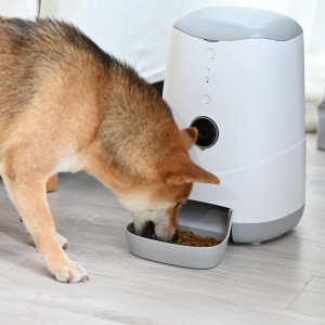 طاعم كام الذكية