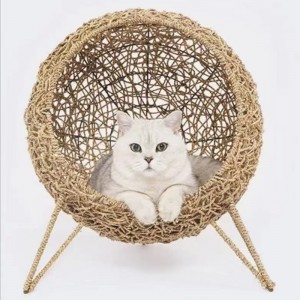 سلة الحيوانات الأليفة