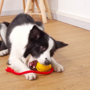 مطاط تسرب لعبة الكلب وجبة خفيفة