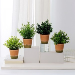 العشب الاصطناعي بوعاء للبيع