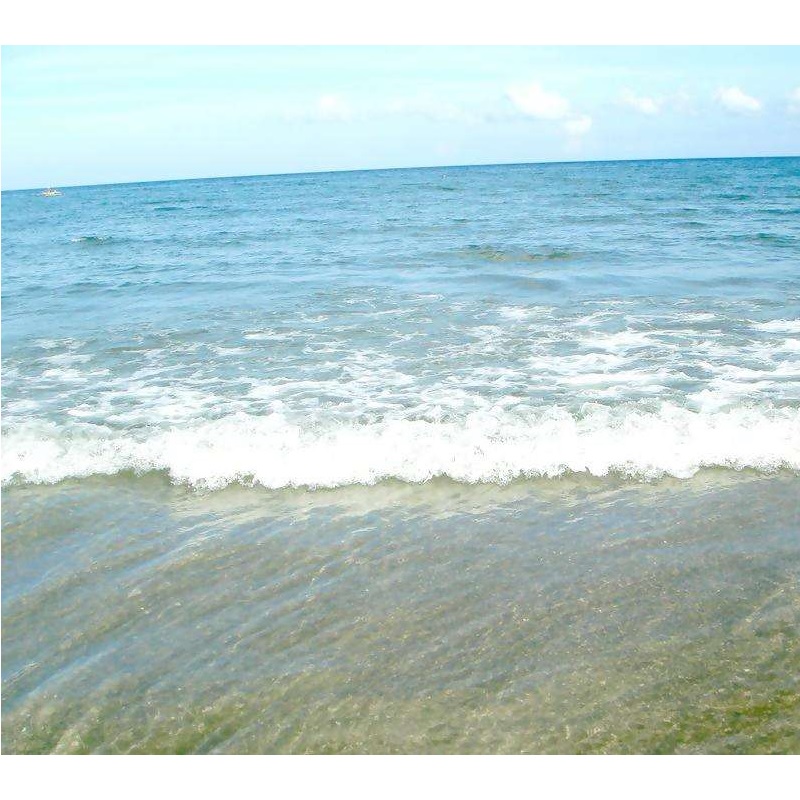 حماية التآكل ل DC Stray الحالية في مياه البحر