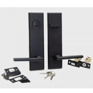 6201 مجموعة رافعة الأنبوبية ذات الطبقات الطويلة ، مجموعات مقبض من سبائك الزنك العالي الجودة الحديثة للباب الأمامي والباب الخارجي