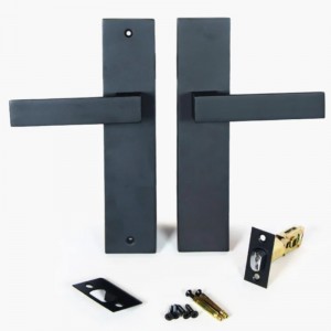 6203 مجموعة مقبض الباب الأمامية من سبائك الزنك الحديثة مجموعة قفل الباب الأمامي