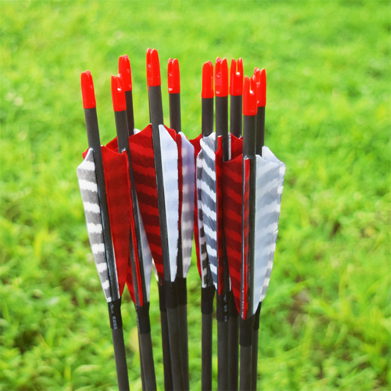 Archery Carbon Arrow في حار بيع