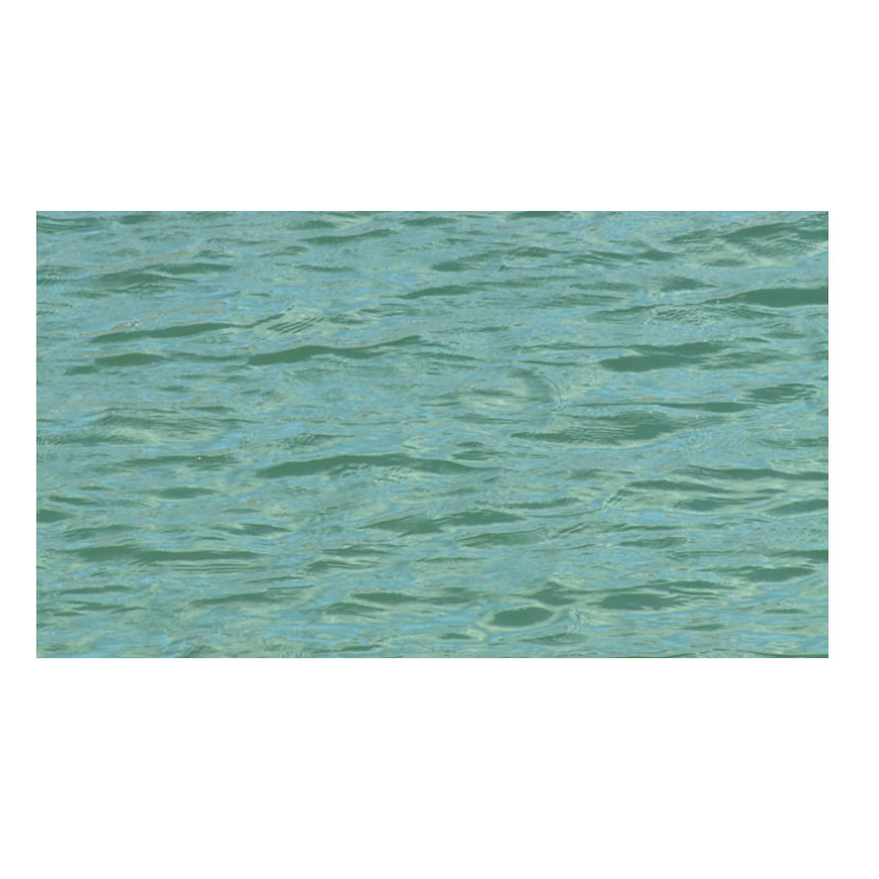 سلامة المحيط ينقذ الأسرة على طوف نفخ