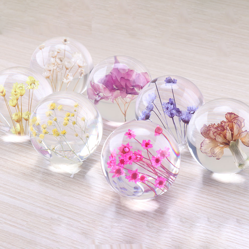 مخصص 3D 7cm 8cm 9cm راتنج Orb النبات الطبيعي نبات الهندباء الحقيقية الوزن للهدايا لعيد الميلاد ديكور الزجاج الكريستال ديكور المنزل