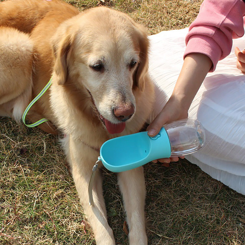 غذاء من الدرجة البلاستيكية تسرب إثبات الجرو المحمولة زجاجة مياه الكلب ماء مع شرب للحيوانات الأليفة المشي في الهواء الطلق المشي لمسافات طويلة