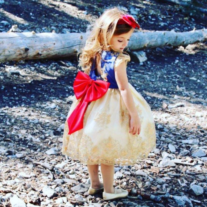 Baige Children \\'s Flower Dress Kids Clothing 0-5y Girls Lace Lace Wedding Dresses with Veadband L5192XZ