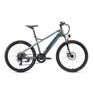 الحصان الاسود