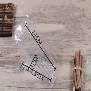 Clear Triangle Box Packaging Wholesale Plastic Food Custom Sanclable Beauty Beautiful and Cake Customer \\\\\'s Logo Pet ، PLA