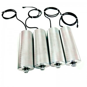 بكرة كهربائية مدمجة محرك AC 220V 380V DC 24V 48V الفولاذ المقاوم للصدأ الأسطوان