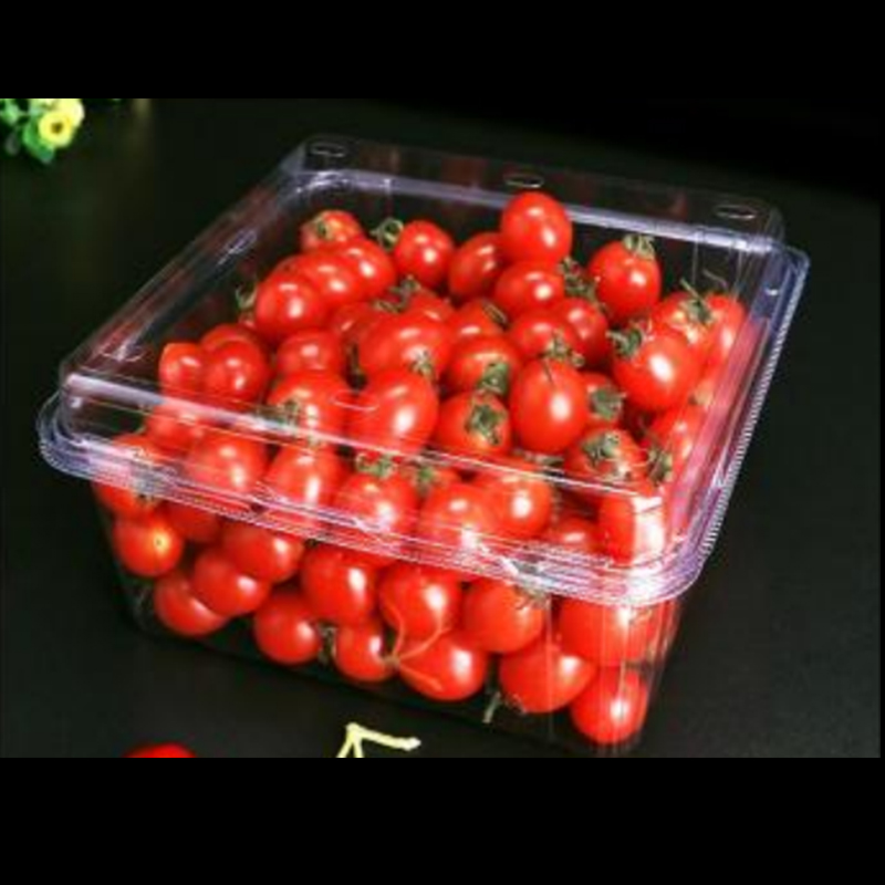 صندوق الفاكهة مع غطاء 175*175*90 مم HGF-1000G