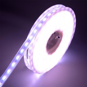 5050 60leds/m wrgbww شريط LED
