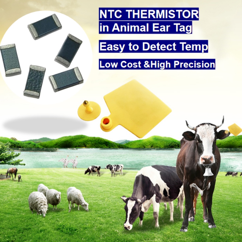 مستشعر درجة حرارة الثرمستور NTC في علامة الأذن الحيوانية تربية ذكية