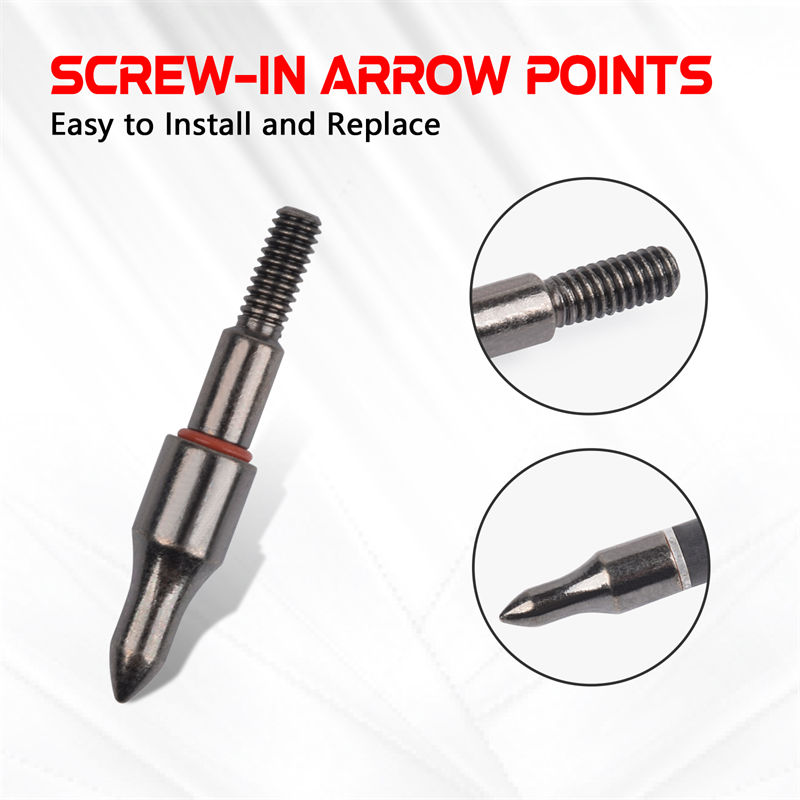 100 رأس أسهم للسهام